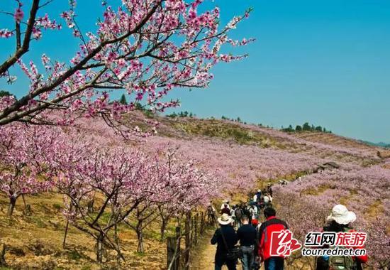 浏阳大围山国家森林公园