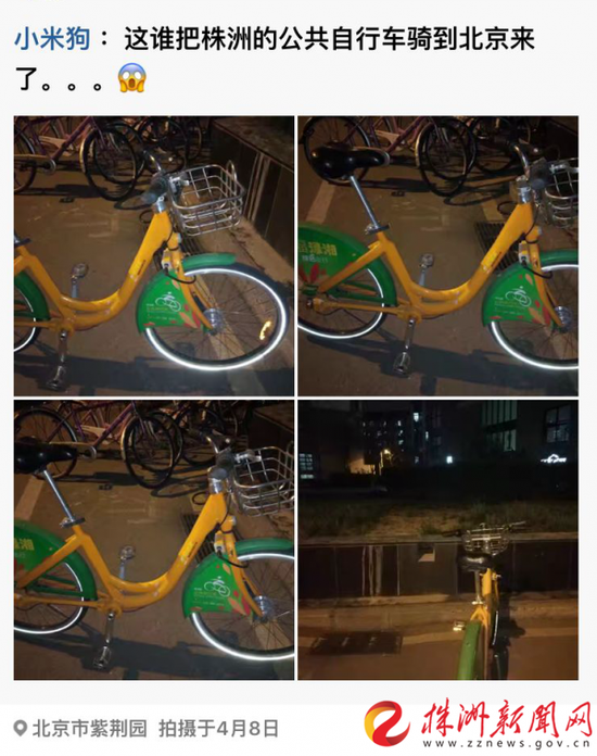 小米在清华大学紫荆园食堂边发现株洲公共自行车（受访者 供图）