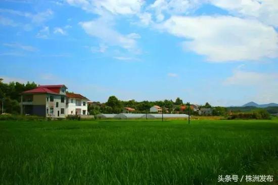 (醴陵枫林市镇。图来自醴陵旅游)