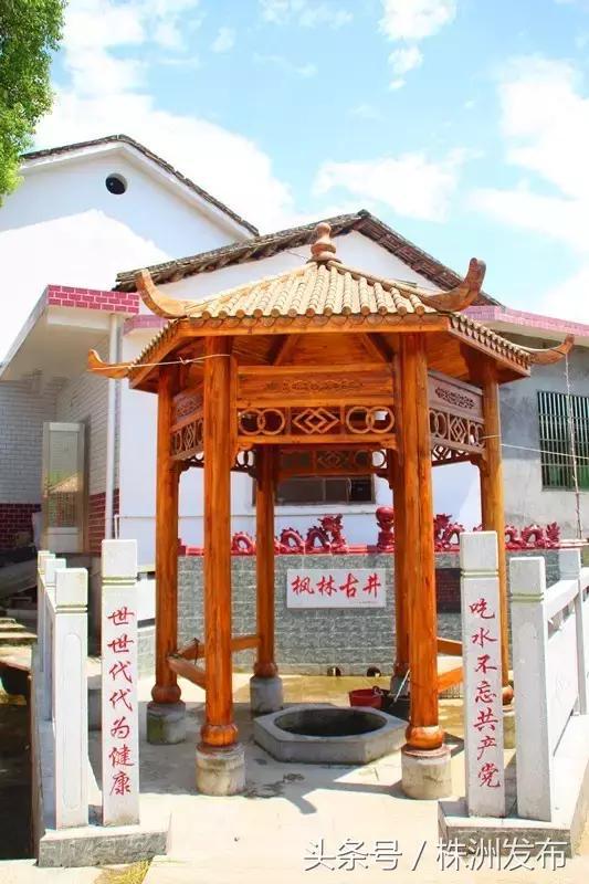 (枫林古井。图来自醴陵旅游)