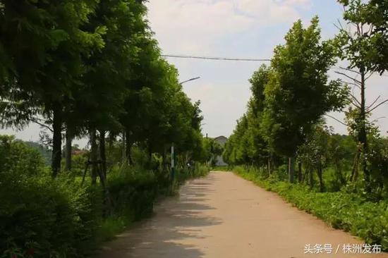 (图来自醴陵旅游)