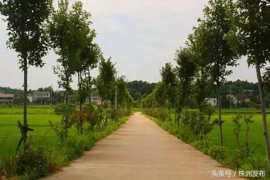 (图来自醴陵旅游)