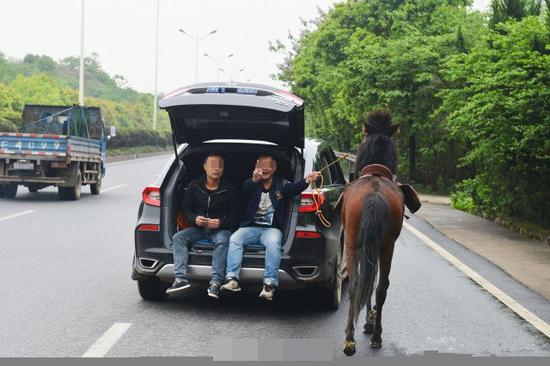 仔细一瞧，车上的两名男子拉着马缰绳，难道是开车遛马？