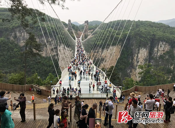 
	“五一”小长假，张家界大峡谷玻璃桥迎来国内外游客4.6万人。
