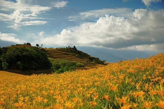  （祁东县黄花菜基地） 