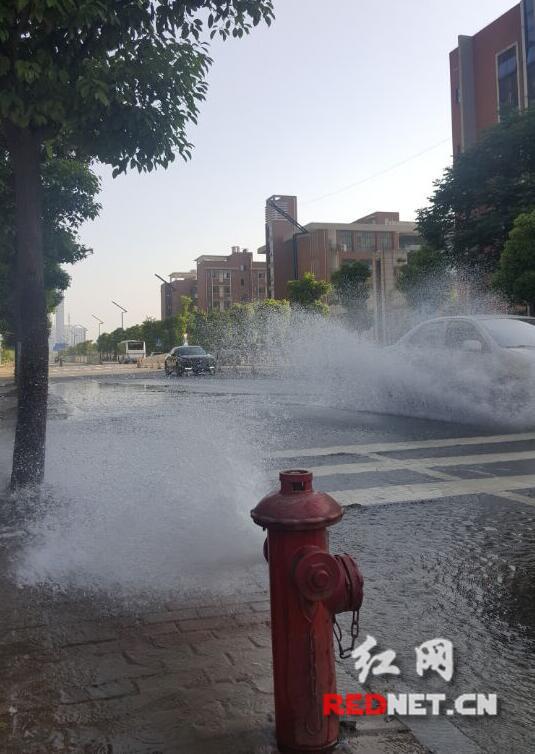 5月13日，长沙市高新区嘉运路中冶中央公园小区前，消防栓成了“喷泉”。