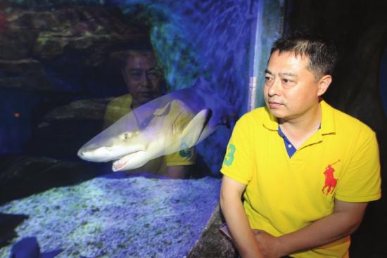 5月13日，湖南烈士公园海洋世界，这条凶悍的柠檬鲨让负责人赵承钢很头疼，水下芭蕾表演不得不暂停。 图/记者华剑