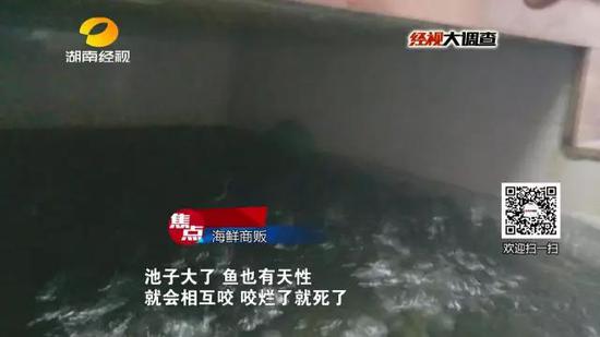 现场采集21个水产品样品