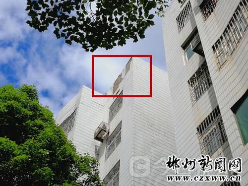 红框内即龙女士反映的脱落外墙