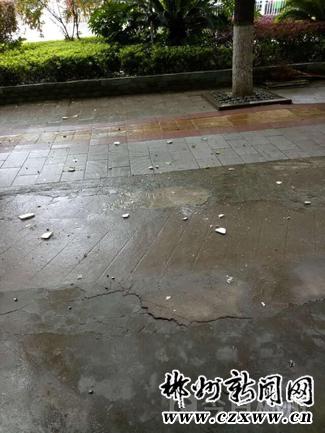 龙女士昨日拍下的掉落瓷砖