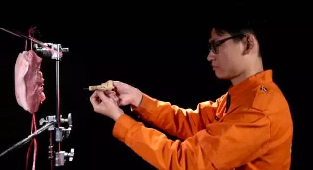 用一块猪肉来模拟人体,两枚钢针深深地插入到猪肉里面,浅的一根针插入猪肉,深的一枚插入达到4公分。