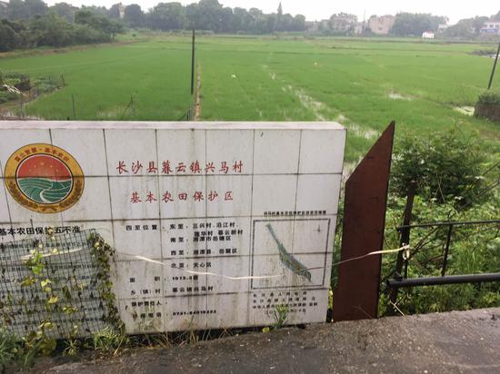 兴马洲是一个“垸”，四周高，中间低，目前江水水位已经大大超过洲中农田高度，一旦溃堤，洪水将大量灌入。目前暂未出现险情。