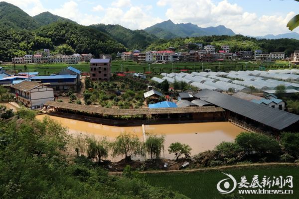 （7月4日，记者一行赶往灾区进行灾后重建采访，发现莫言醉休闲生态农庄洪水已退）