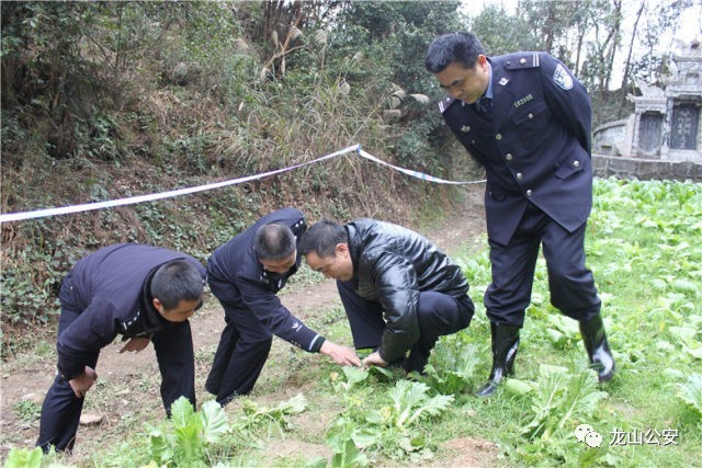 现场勘查