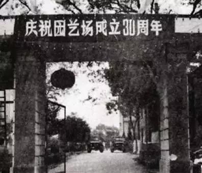 园艺场旧照