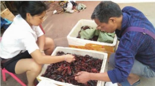 市民在长沙马王堆海鲜市场选购口味虾。 实习生 裴中慧 摄