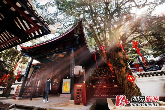 五柳湖西北侧是桃花山。这里并非像名字一样是种满桃花的山,而是以祭祀陶公和《桃花源记》为脉络进行空间布局的“人文山”。