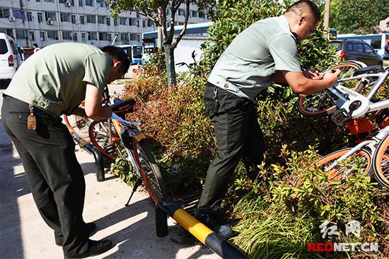 对于违规停放的共享单车,执法队员登记编号后,将拍摄3张照片作为现场证据,照片内容分别是:二维码编号、自行车位置以及自行车所属运营商。