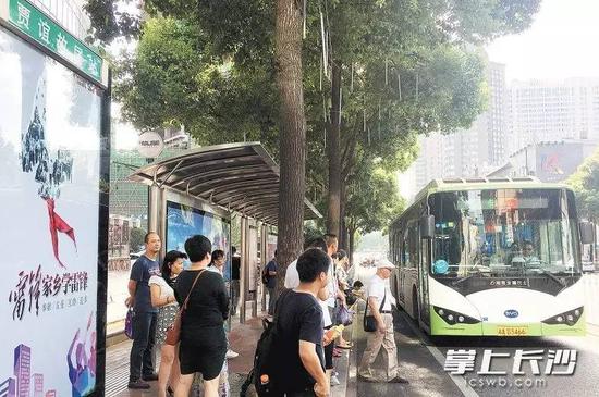 8辆途经贾谊故居的公交车,有5辆报站时读错音。长沙晚报记者 刘琦 摄