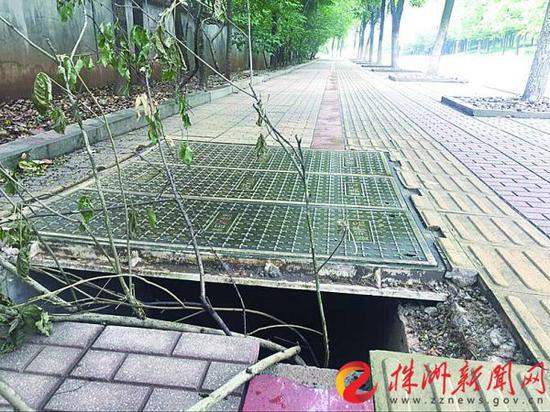 树枝插在坑洞里,提醒大家小心被“坑”(记者 赵露 摄)