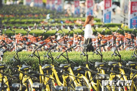 长沙晚报记者 黄启晴 摄
