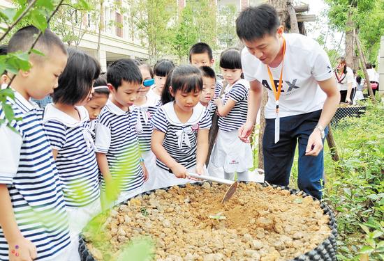 昨日,芙蓉区大同瑞致小学的孩子们共植向日葵。长沙晚报通讯员 黄其雄 摄