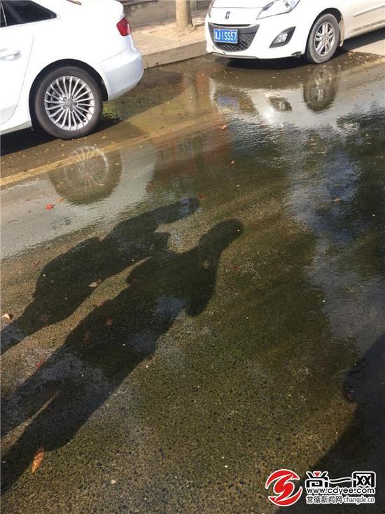 绿化带渗出的水流到马路上,给行人和车辆造成了诸多不便。尚一网记者 曾兰 摄