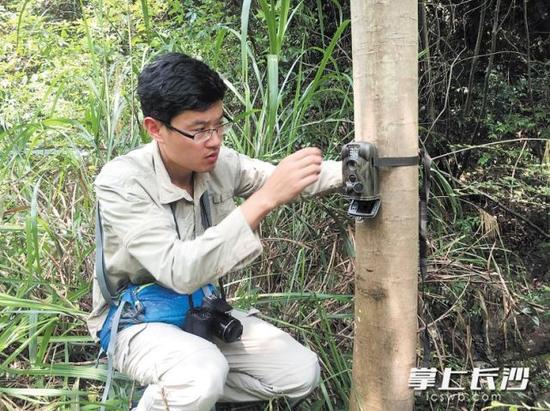 专家在山林里安装红外相机,希望能拍到豺的身影。通讯员 李小雷 摄