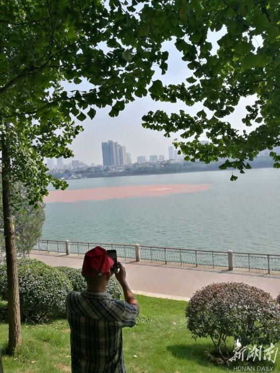 视频和图片皆为新湖南客户端记者现场拍摄