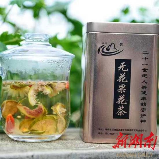 毒4进宫 种无花果年入20万_新浪湖南_新浪网