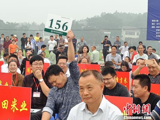 随着拍卖师一锤落定,泰优390稻谷以182元/百斤的高价成为全场标王,被盈田米业拍下。 王昊昊 摄