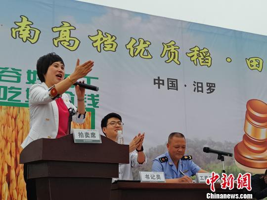 全国首次优质稻田间拍卖活动10月10日在湖南汨罗举行。 王昊昊 摄