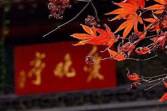 (图片提供:全景视觉)