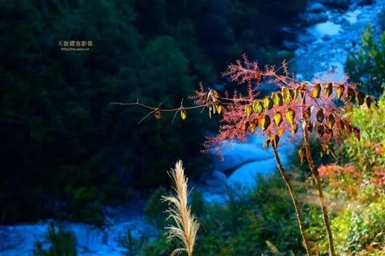 (摄影:天涯镖客)