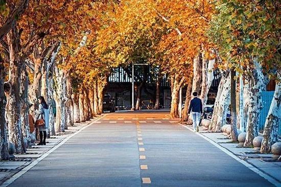 (图片提供:全景视觉)