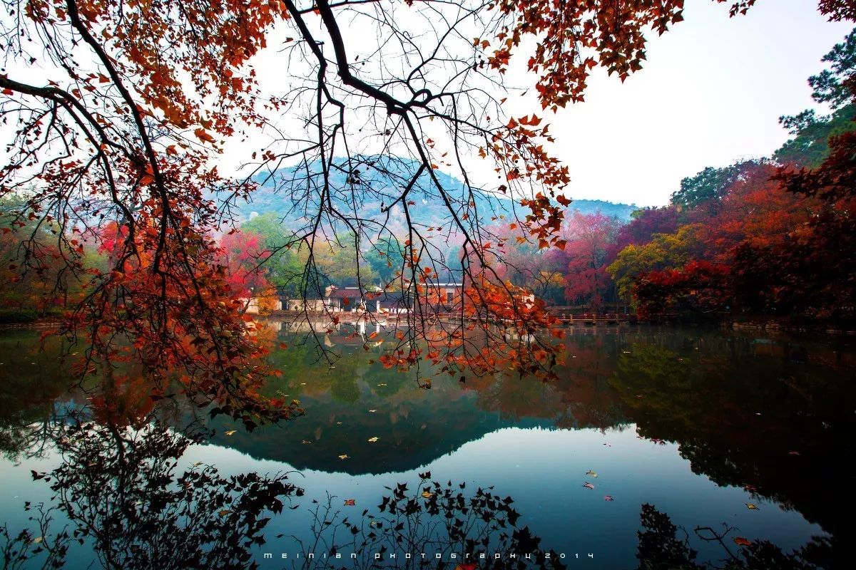 苏州天平山是中国四大赏枫胜地之一，天平山的红叶则是一种叫做枫香的红叶，每当秋季来临，红叶有深有浅，宛若盛开的鲜花一般。