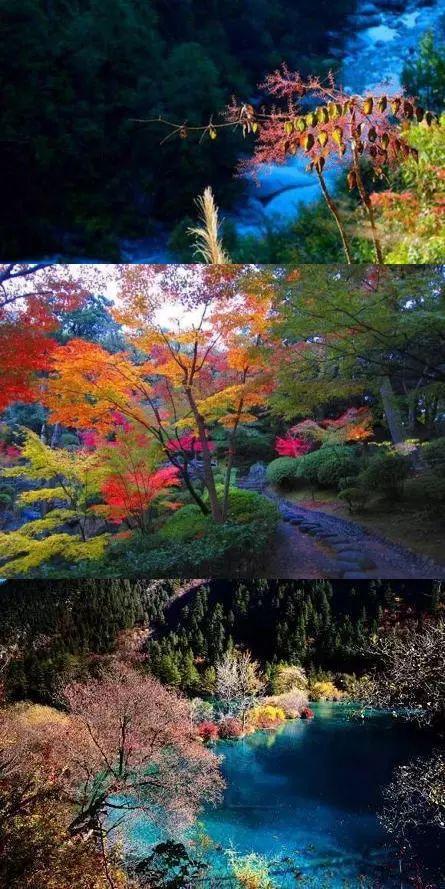 五彩谷是一条长约10公里景色迷人的峡谷,明明是秋季,但却色彩艳丽不输于春夏。