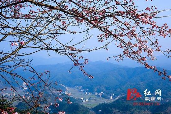 花里看山。