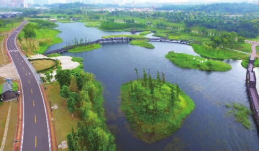 　8月27日，长沙市长沙县湖南松雅湖国家湿地公园湖水清澈、水草丰茂。去年，长沙县推行河长制，将松雅湖等24条河流（湖泊、水库）设置了县级河（湖）长进行管理。记者 田超 摄