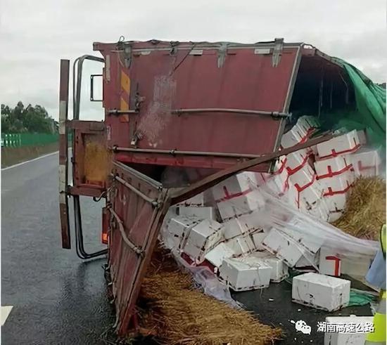 永州境内一大货车司机将上千件荔枝开翻在高速