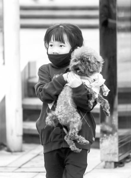 10月14日，长沙德思勤城市广场，小朋友在冷风中紧紧抱着小狗。　　图/实习记者张云峰