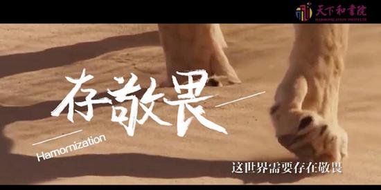 图片来源:《自我管理倡议》MV