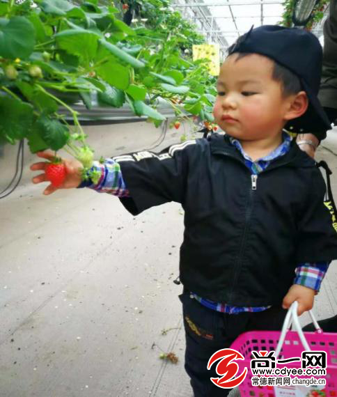 常德80后夫妇为3岁养子寻亲生父母