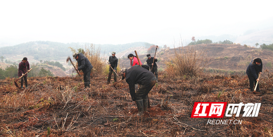 邵阳隆回：千把锄头闹“春造”