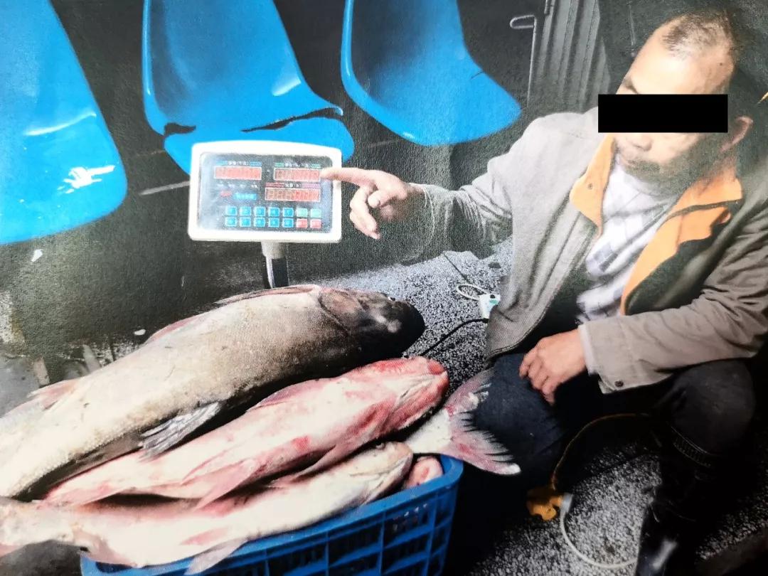 ▲犯罪嫌疑人刘某捕获的鱼类