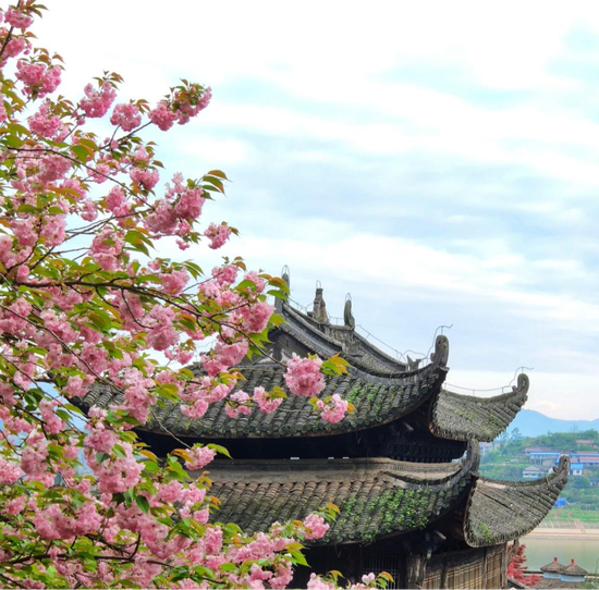 (让人坐不住的消息陆续传来:3月25日-4月1日,2020年怀化市徒步旅行主题活动在怀化13个县市区陆续展开,广大市民走出家门、走向自然。截至4月1日,湖南已有309家A级旅游景区恢复开放,占全省482家A级景区的64.1%。清明小长假在即,停摆已久的旅游业,逐渐开始迸发生机。图为怀化沅陵龙兴讲寺。)