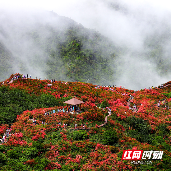  湖南浏阳大围山国家森林公园。