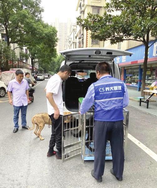 △ 6 月 29 日,由于王某未经许可养犬且逾期未整改,警方对其处以 1000 元的罚款并没收犬只。