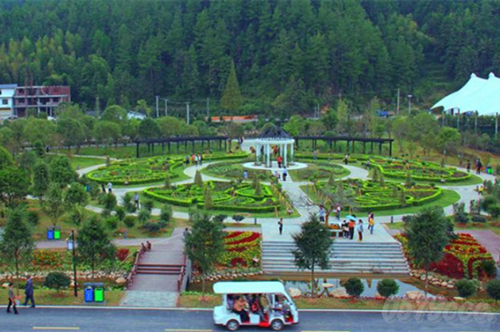 桂东植物园 桂东县委宣传部供图