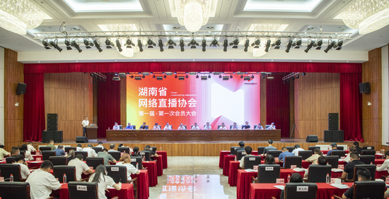 （大会现场。湖南日报全媒体记者&nbsp;李健&nbsp;摄）